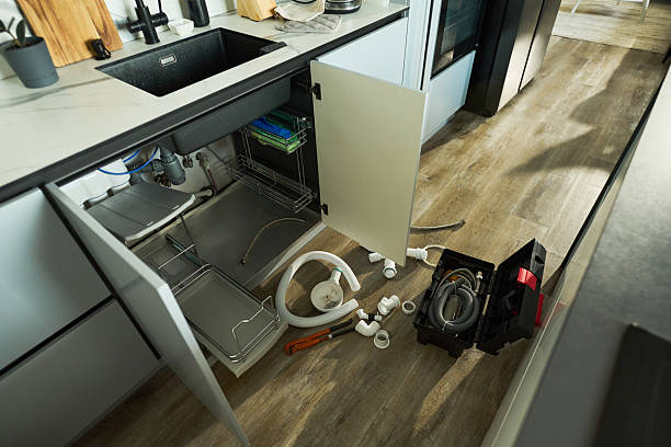 Reliable Garbage Disposal Repair contractor in Holcomb, IL by Street Wise - Plumbing