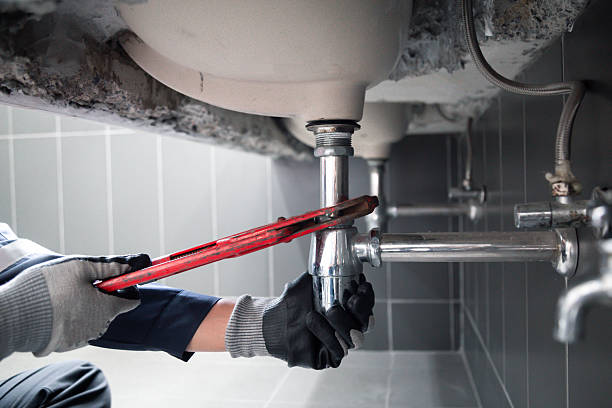 Licensed Garbage Disposal Repair service in Holcomb, IL - Street Wise - Plumbing